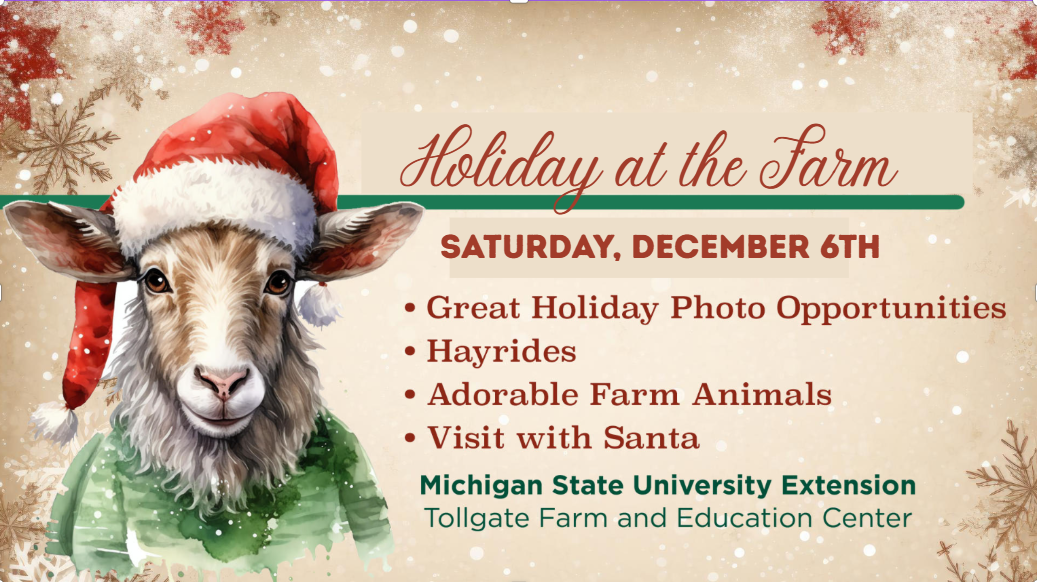 Screenshot 2025-10-29 160212.png